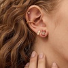 image:imageBaubleBar Fruit Design EarringsApple