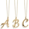image:imageBaubleBar GoldPlated Initial Necklace  Bubble or Signature Letter Pendant 17Inch Chain Necklace with Lobster Clasp Fashion Jewelry Perfect Personalized Gift for WomenJ